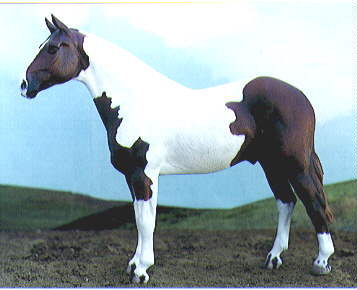 HORSE