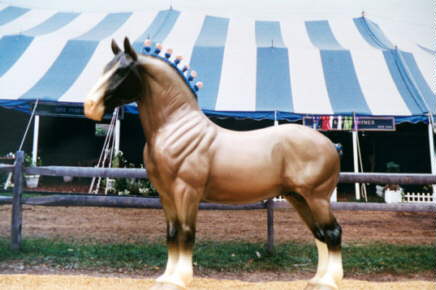 HORSE